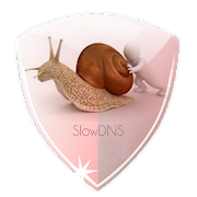 VPN Over DNS Tunnel : SlowDNS